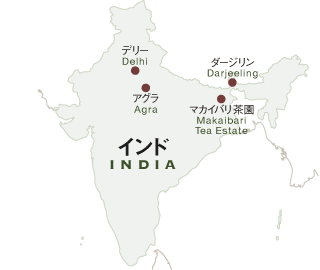 インド マカイバリ 紅茶 エコツアー